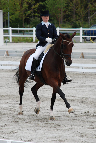 Vinner av 6-årsklassen i dressur ble i 2008 Siril Helljesen og Dorina. 