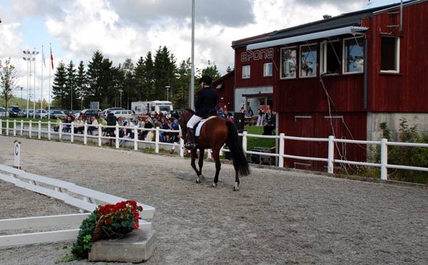 Fjorårets Breedersfinale i dressur ble arrangert på Epona i Kristiansand. I år samles finalene i alle disiplinene på Linnesvollen